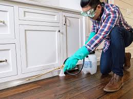 Best Residential Pest Control  in Tton, IL